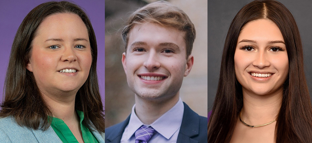  Public Company Accounting Oversight Board (PCAOB) Scholars