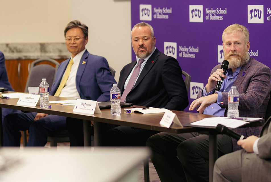 THEMS panel