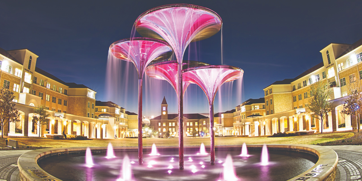 lighted frog fountain